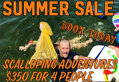 Scalloping Special 2020